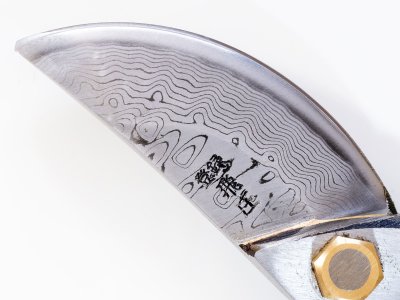 Photo2: [Tobisho] Pruners A-type 200mm (Damascus / Edge : Aogami steel)