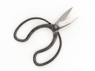 Photo1: [Sasaoka] Okubo traditional shears (Left-handed)