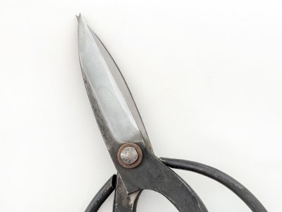 Photo2: [Sasaoka] Okubo-style Traditional Gardening Shears (Right-handed)