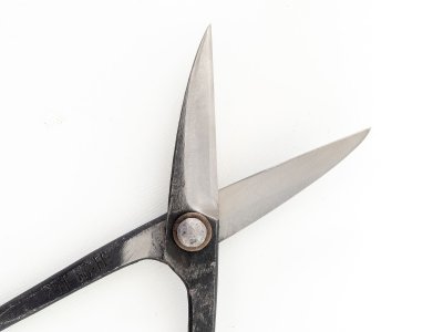 Photo2: [Sasaoka] Bonsai Twig Shears (Right-handed)