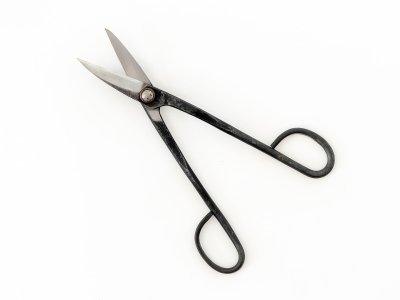 Photo1: [Sasaoka] Bonsai Twig Shears (Right-handed)